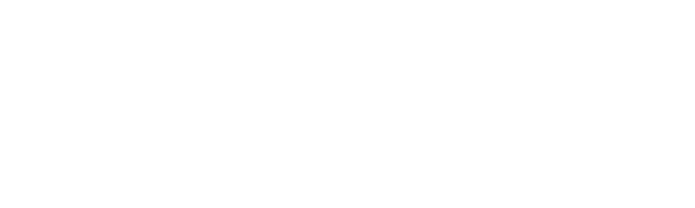 White CrowdStrike logo
